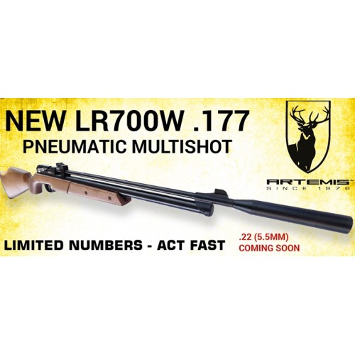 Artemis LW700W Pump Up rifle