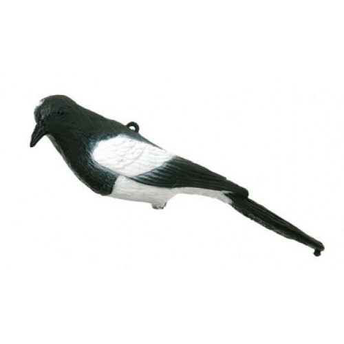 East Anglian Magpie