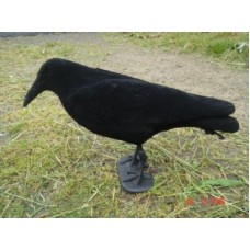 Bisley Flocked Crow Single Decoy