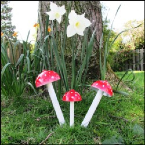 Magic Mushrooms Target By Reflex