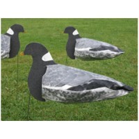 Sillosocks Pigeon Harvester Decoy 12 Pack