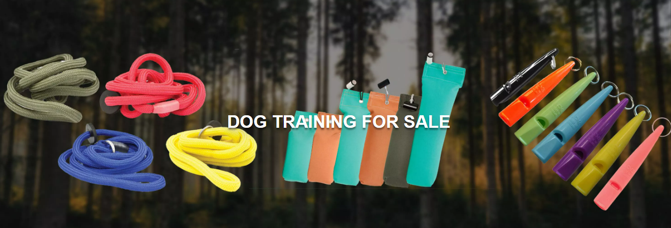 Dog training for sale