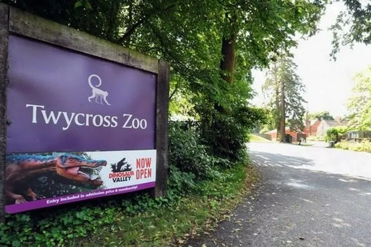 Tywcross Zoo