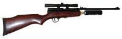 Picture of .22 XS79 CO2 Air Rifle