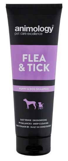 Picture of Animology Flea & Tick Shampoo for Dogs 250ml
