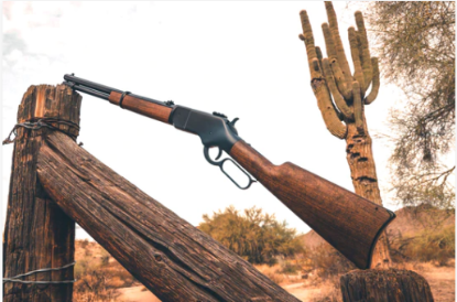 Picture of Barra 1866 Black Cowboy Rifle Kit .177 Pellet