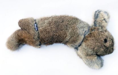 Picture of BG Rabbit Dummy