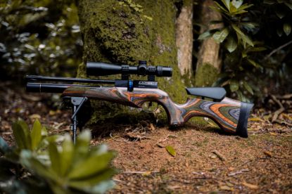 Picture of BSA Ultra Pro CLX  Wilderness Green Laminate Regged Ltd Edition