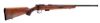 Picture of Cogswell & Harrison Certus Rimfire Rifle