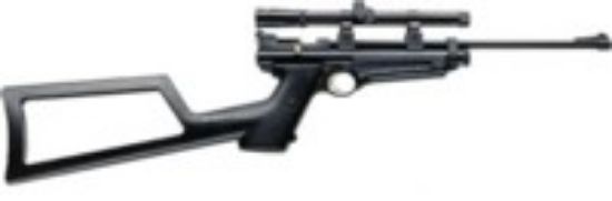 Picture of Crosman Rat Catcher 2250 Pellet Gun Air Rifle