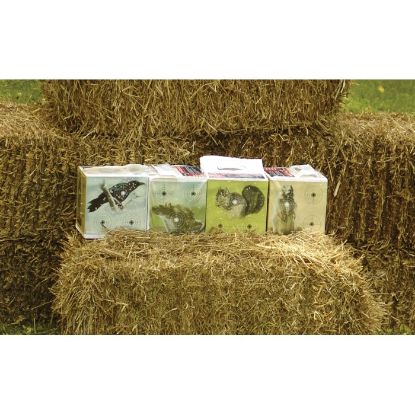 Picture of Crosman Varmint Target Block