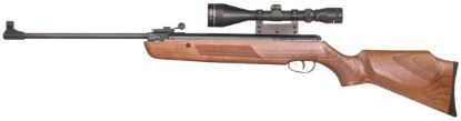 Picture of Custom XS19 .22 Air Rifle