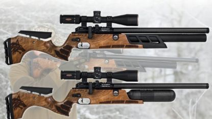 Picture of Daystate Black Wolf Walnut Cylinder 17"