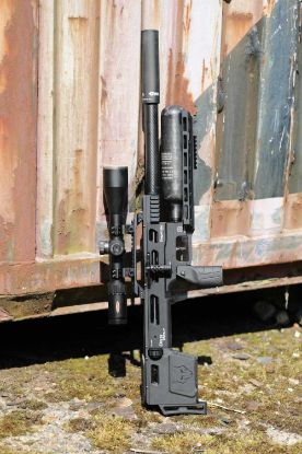 Picture of Daystate Delta Wolf Performance