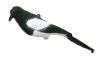 Picture of East Anglian Magpie