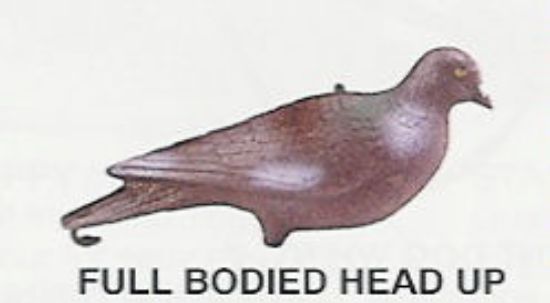 Picture of Full Bodied Pigeon Decoys