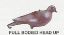 Picture of Full Bodied Pigeon Decoys