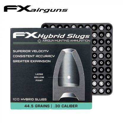 Picture of FX hybrid slug .30 x10 packs