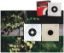 Picture of Gamo 14cm Card Targets