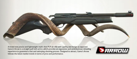 Picture of Gamo Arrow PCP Air Rifle