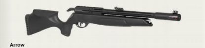 Picture of Gamo Arrow PCP Air Rifle