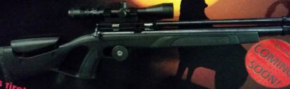 Picture of Gamo Phox PCP Rifle Kit