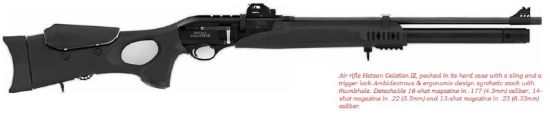 Picture of Hatsan Galatian 3 Open Sights