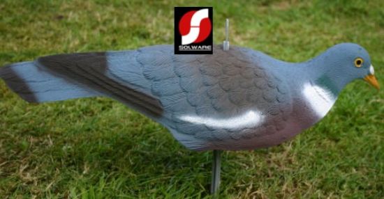 Picture of High Definition East Anglian Pigeon Decoys