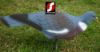 Picture of High Definition East Anglian Pigeon Decoys