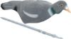 Picture of JACK PYKE FLOCKED PIGEON SHELL DECOY