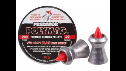 Picture of JSB Predator PolyMag .22 Hunting Pellets