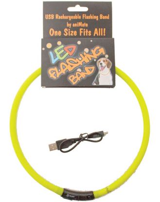 Picture of Led Flashing Dog Neck Band