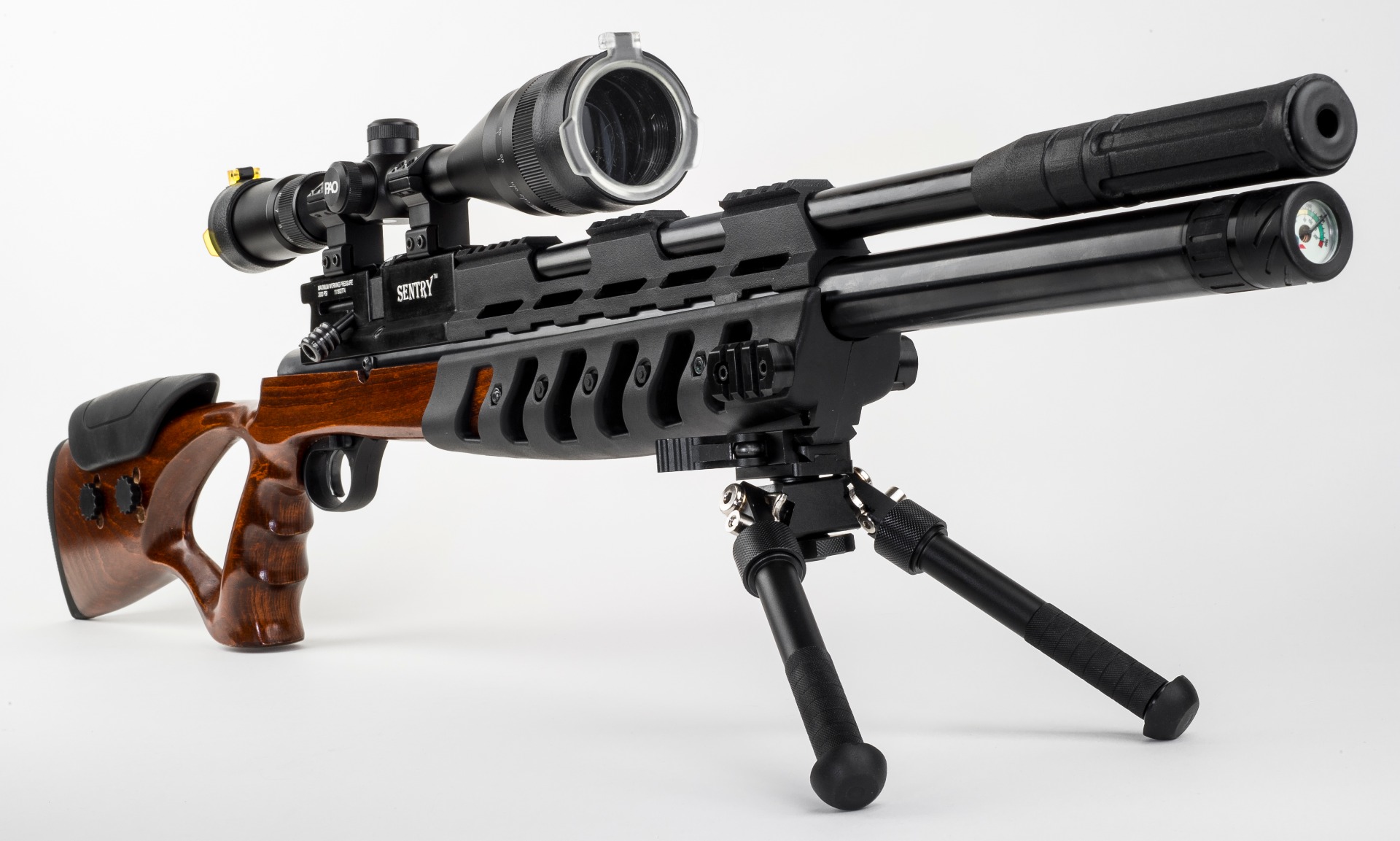 Lee Enfield Sentry PCP Air Rifle. Solware Ltd.