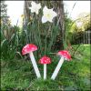 Picture of Magic Mushrooms Target By Reflex