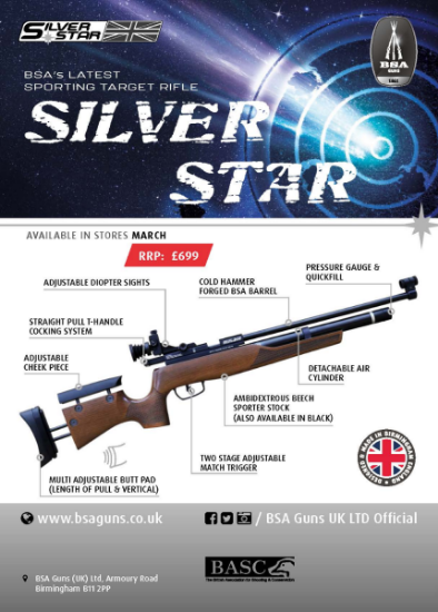 Picture of New BSA Silverstar PCP 6 Foot Pound (With Diopter)