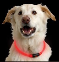 Nite Howl Red Led Dog Collar by Nite Ize