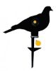 Picture of Pigeon Knock Down stake Target by Remington