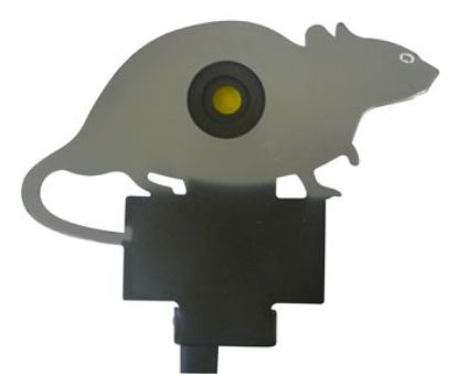 Picture of Rat Knock Down Target
