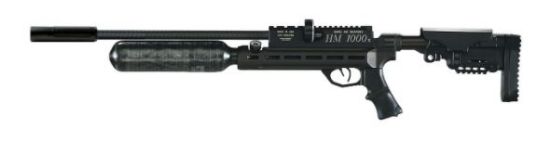 Picture of Raw Theoben HM1000 Tactical