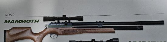 Picture of Remington Mammoth