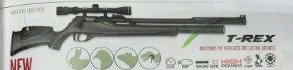 Picture of Remington T-Rex Air Rifle