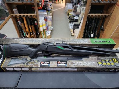 Picture of Remington T-Rex Air Rifle