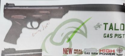 Picture of Remington Talon Gas Piston Air Pistol with Wood Stock