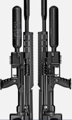 Picture of Skout Epoch Air Guns