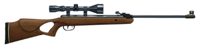 Picture of SMK XS19 Thumbhole .177 Air Rifle