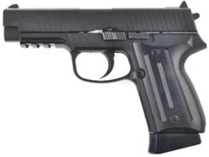 Picture of Umarex HPP (Sig Sauer P226)‏