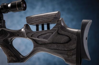 Picture of Weihrauch HW110 Laminate Adjustable