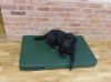 Picture of Winslow Dog Bed