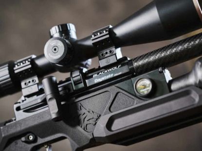 Picture of Daystate Black Wolf Zero