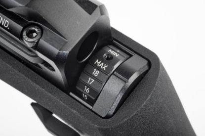 Picture of Daystate Black Wolf Zero